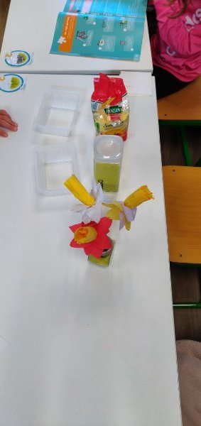 img_20191129_144209 img_20191129_144209