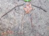 IMG_9116