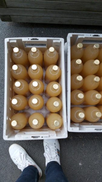 resized_img-20190928-wa0004 resized_img-20190928-wa0004